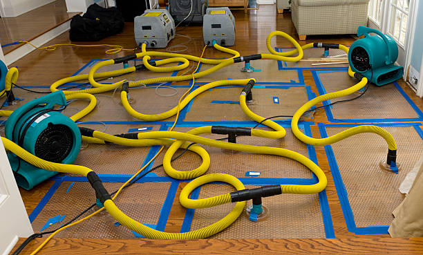 Professional Basement Flood Cleanup technician working in Duluth, MN